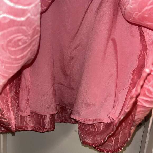 Akira Vivenne Puff Sleeve Pink Floral Rose Embroidered Mini Babydoll Dress Small - Picture 6 of 11
